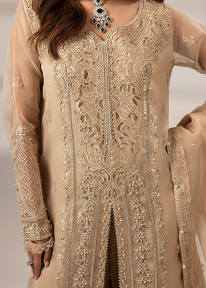 2573B - Occasion Formal Wear - Zarqun Premium