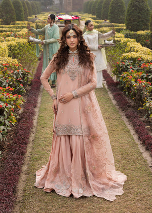 2578B - Classic Embroidered Formal - Zarqun Premium