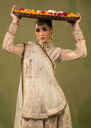 2559A - Dreamy Embellished Formal - Zarqun Premium