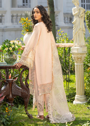 2409A - Luxury Pret Suit - Zarqun Premium