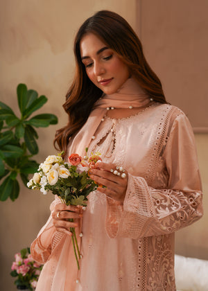 2509 - Embroidered 3Pc Dress - Zarqun Premium