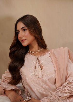 2509 - Embroidered 3Pc Dress - Zarqun Premium