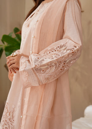 2509 - Embroidered 3Pc Dress - Zarqun Premium