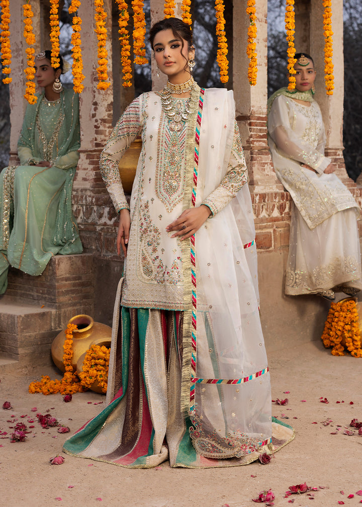 2581B - Classic Embroidered Formal - Zarqun Premium