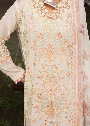 2613B - Summer Formal Wear - Zarqun Premium