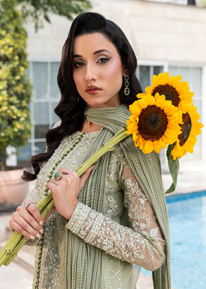 2552B - Embroidered 3Pc Dress - Zarqun Premium