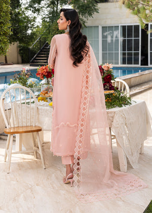 2556B - Embroidered 3Pc Dress - Zarqun Premium