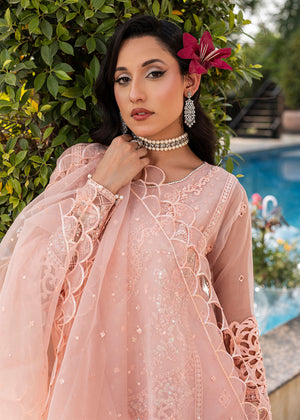 2556B - Embroidered 3Pc Dress - Zarqun Premium