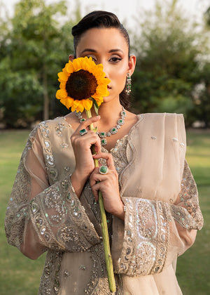 2554A - Embroidered 3Pc Dress - Zarqun Premium