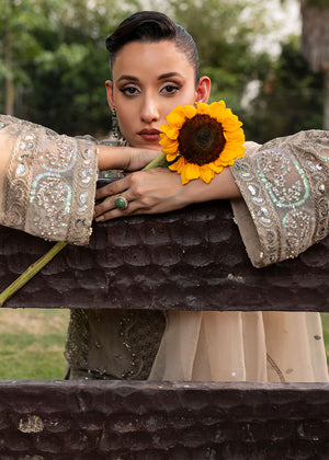 2554A - Embroidered 3Pc Dress - Zarqun Premium