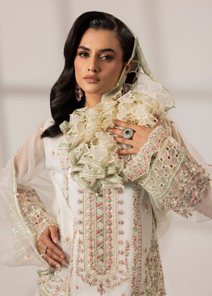 2568A - Occasion Formal Wear - Zarqun Premium