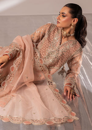 2572B - Occasion Formal Wear - Zarqun Premium