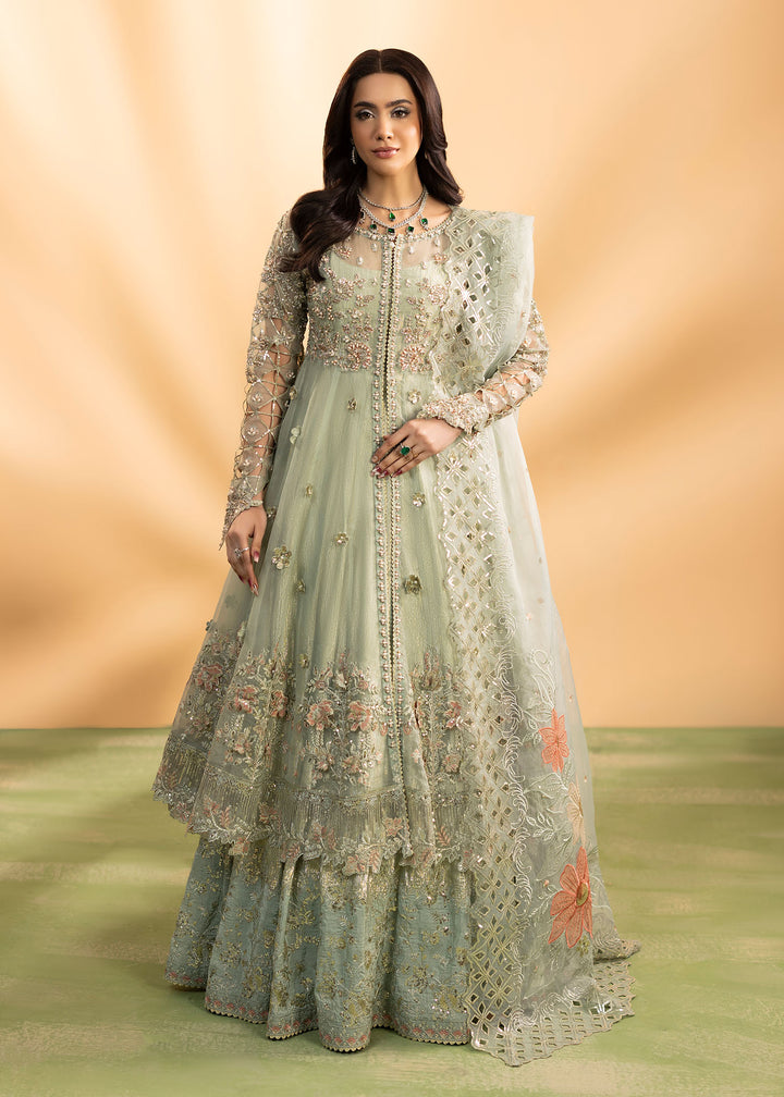 2598B - Best Selling Formal Wear - Zarqun Premium