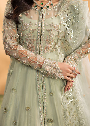 2598B - Best Selling Formal Wear - Zarqun Premium