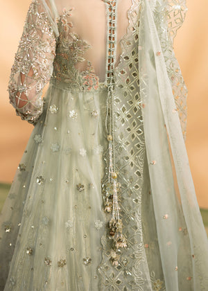 2598B - Best Selling Formal Wear - Zarqun Premium