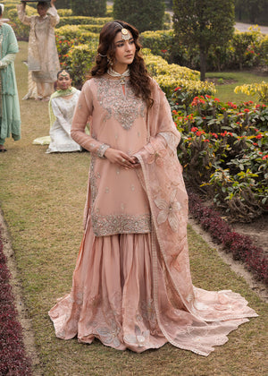 2578B - Classic Embroidered Formal - Zarqun Premium