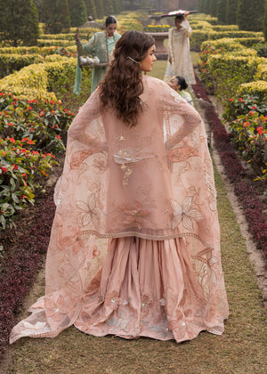 2578B - Classic Embroidered Formal - Zarqun Premium