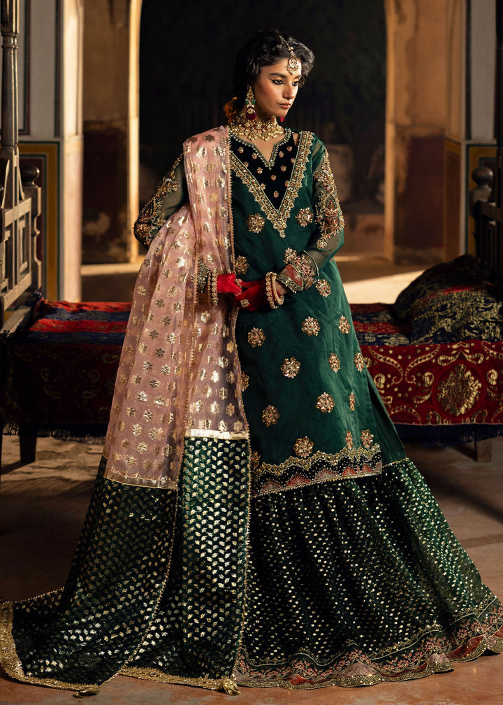 2505B - Embroidered Formal Dress - Zarqun Premium