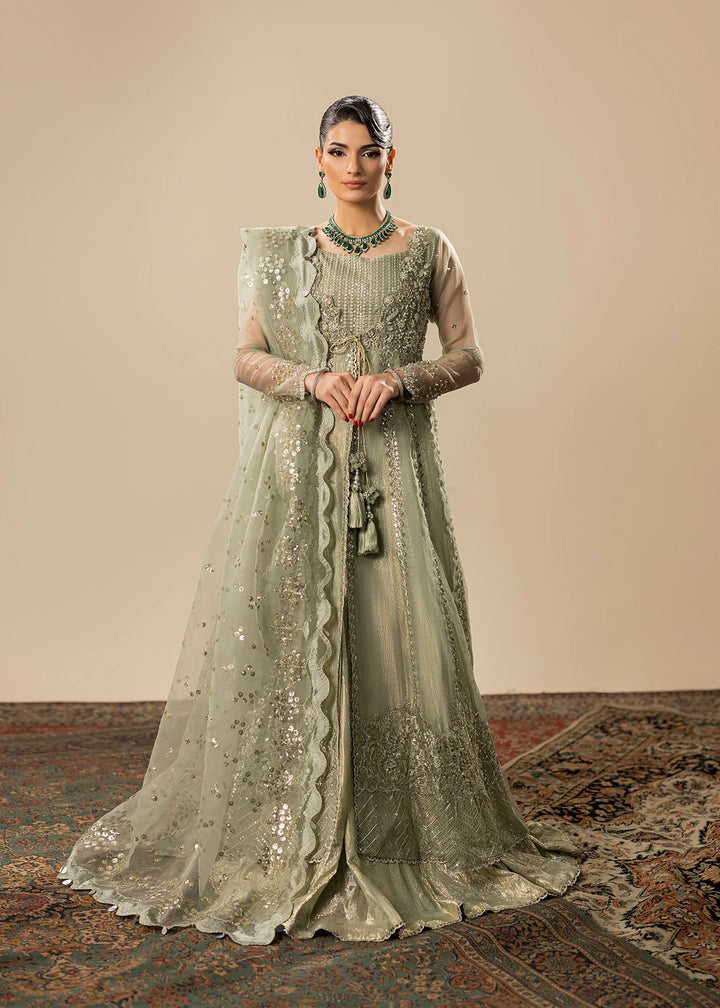 2575A - Best Selling Formal Wear - Zarqun Premium